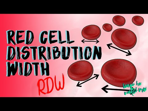 Understand Red Cell Distribution Width | RDW | RDW - CV | RDW - SD