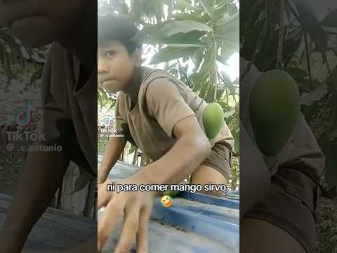 Ni para comer mango sirvo #humor #elpersonajedelasemana #comedia #youtubeshorts