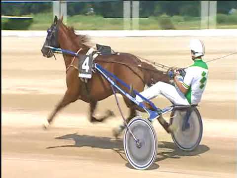 Trotto 16/06/2018 - 3ª corsa