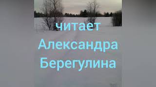 preview picture of video 'Виталий Бианки "Синичкин календарь" Февраль'