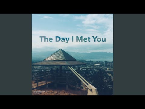 The Day I Met You video