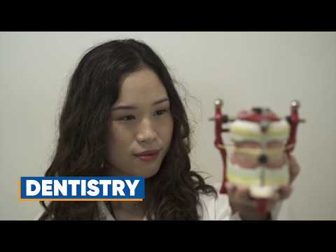 Faculty of Dentistry