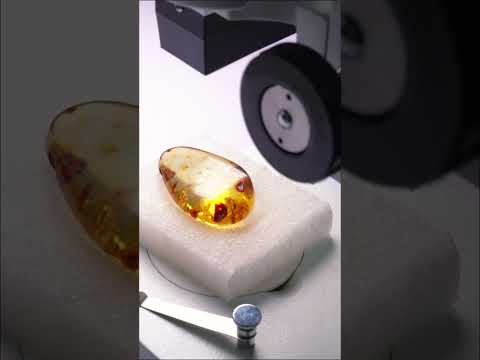 🌵 Villavieja – Huila, puerta al Desierto de la Tatacoa 🌌