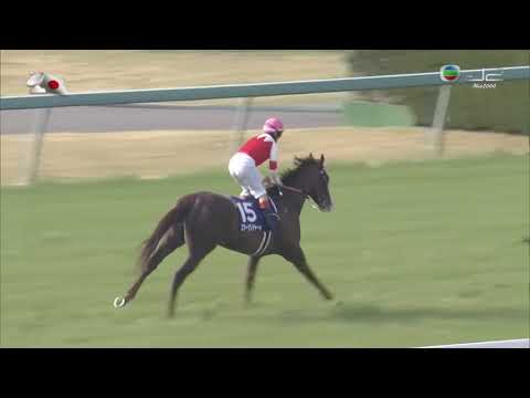 2018 大阪盃 Osaka Hai 大阪杯 文雅之士 Suave Richard スワーヴリチャード 杜滿萊