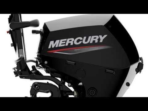 We got a New Mercury 20hp EFI 4-stroke