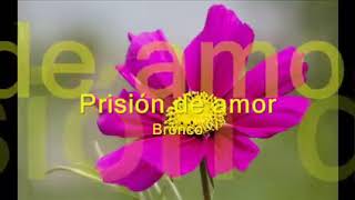 Prisión de amor. (Letra) BRONCO