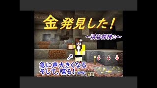 【ポポクラ】part.15~金鉱石！初めての渓谷探検3~初心者マイクラ実況