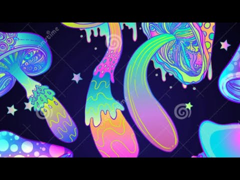 Ciaran mc - Mc Tommy T - Mc Ringo - Bailey Mc - K9 Outlaw