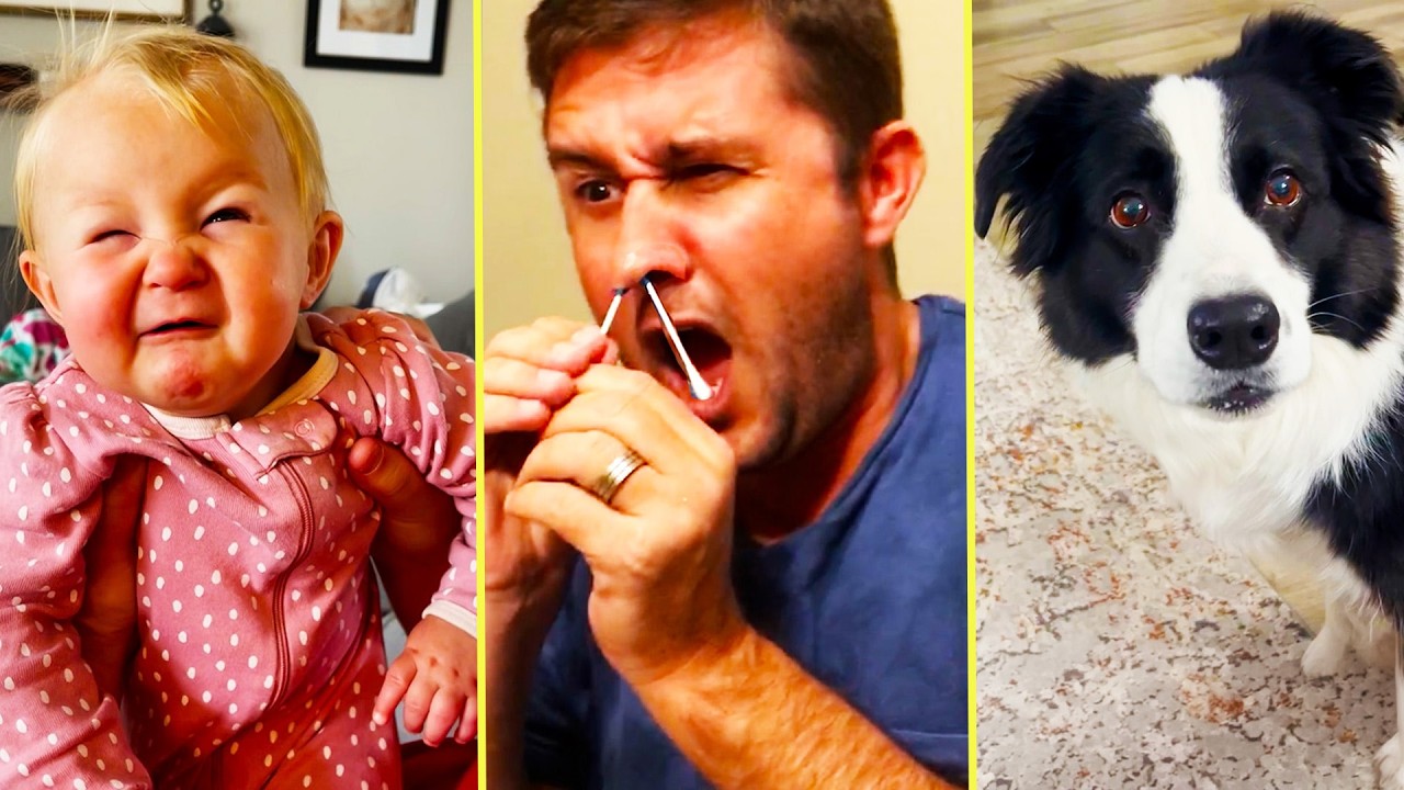 Best TikToks of 2026 Rewind | TikToks You Can’t Stop Rewatching!