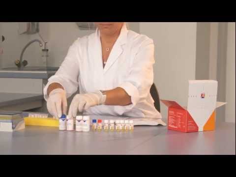 ELISA Test Systems in Autoimmune Disease Diagnostics (Autoimmunity)