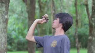 Nui Wong // Goodbye Hawaii // Sweets Kendamas