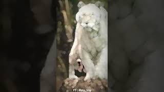 Download lagu JJ khodam macan putih #jedagjedugalightmotion #khodammacanputih #jedagjedug #edit #shorts #video mp3