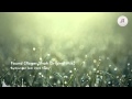 Sunlounger feat. Zara Taylor - Found (Roger Shah Original Mix)