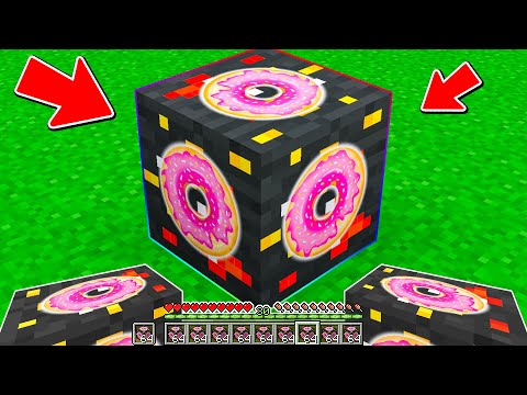 NON ROMPERE questo BLOCCO CICCIONE - Minecraft ITA