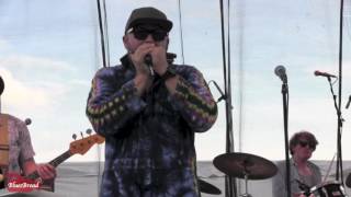 JOHN NÉMETH & the BLUE DREAMERS ϟ Bad Luck Is My Name  8/6/16 Riverfront Blues Festival