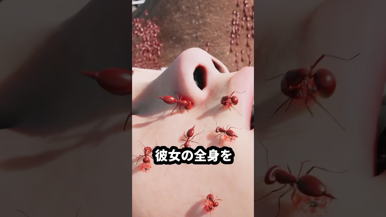 ヒアリに全身噛まれた人の末路【ゆっくり解説】#ゆっくり解説 #ヒアリ #昆虫