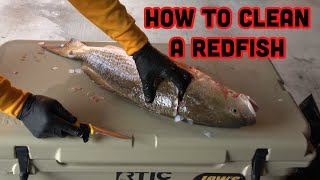 How to clean a REDFISH