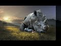 Craig Chaquico - Land Of The Giants