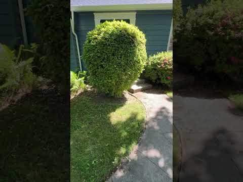 6214 Se 36th Ave - Video 7 of 7