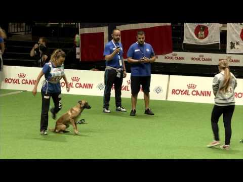 Agility World Championship 2015 - Patrizia Ciuffetti and SKIN