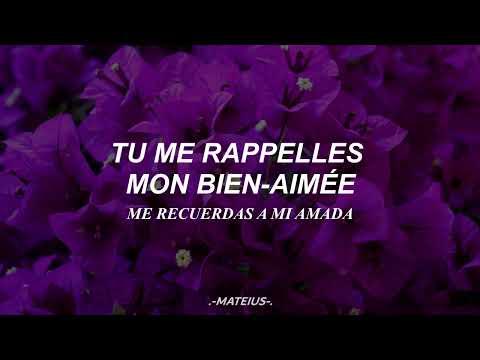 Fleur violette - Nasa Histoires || Lyrics