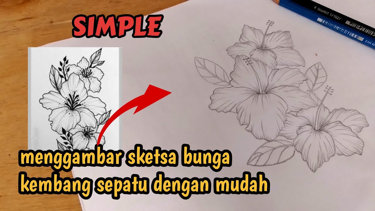 How to draw a hibiscus flower sketch easily and simply