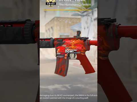 The M4A4 Howl is Special...