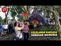 Kelelawar Sebesar Manusia Tiba2 Muncul Hebohkan Warga Setelah Didekati Ternyata Itu