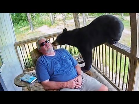 CUANDO LOS ANIMALES SALVAJES ACTÚAN DE FORMA TOTALMENTE EXTRAÑA 😂