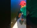 Video Thumbnail for See you later fish!! #short #fishing #subscribe #shorts