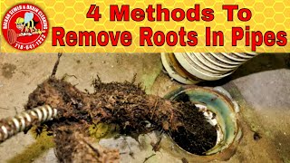 Four Ways For Removing Roots Inside Pipe: A Drain Cure Guide