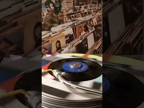 De Spelbrekers - Als ik Opsta (1961)