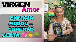 VIRGEM♍❤️ O Amor Vem Alinhado Com Quem Você Se Tornou 💞☀️🌳