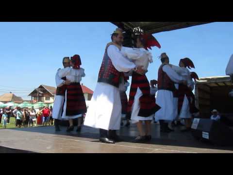 Arpasu de Jos, Sibiu 2014, Zile Culturale