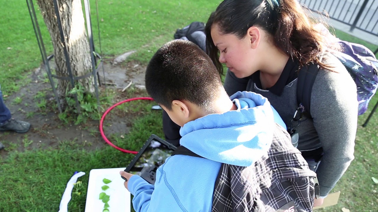 Learning Framework: Problem Solving