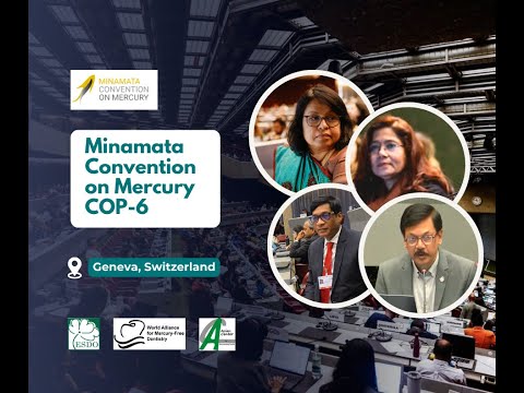 Minamata Convention on Mercury CoP 6 । Environment and Social Development Organization - ESDO