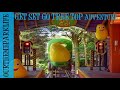 POV Weekly CBEEBIES 5th Birthday Special | Get Set Go Treetop Adventure | Alton Towers |