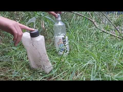 życiowa przygoda porygo