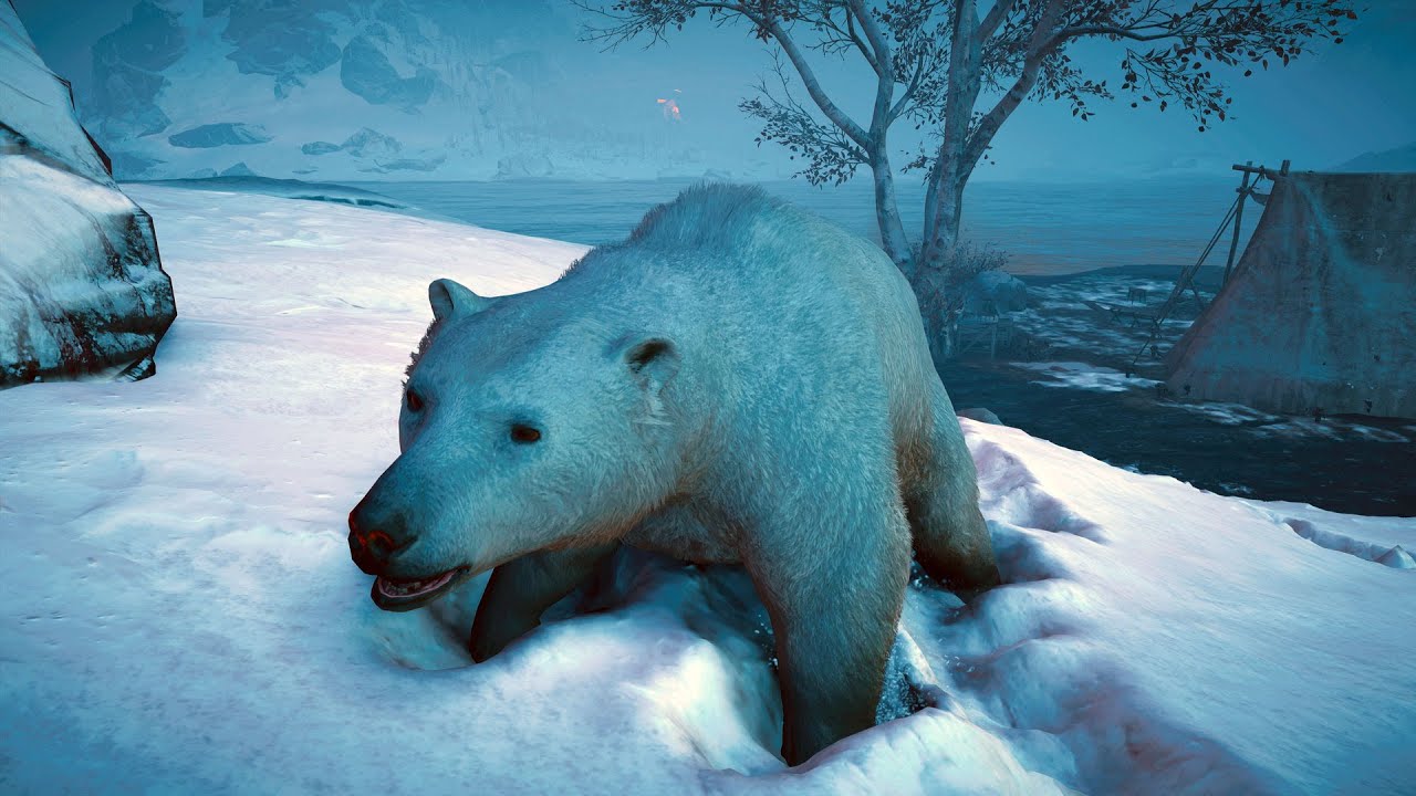 Assassins Creed Valhalla Animals All Animal Locations XLunargaming