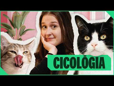 Megtanultuk a MACSKÁK NYELVÉT 🙀🐈‍⬛