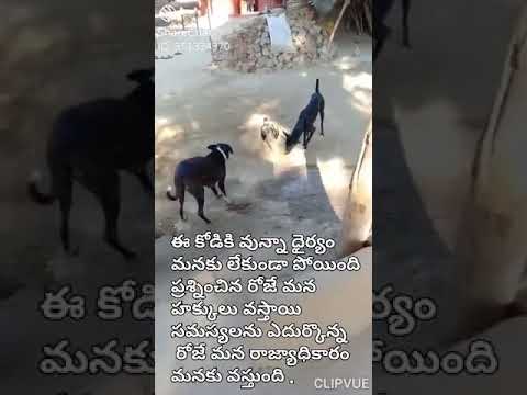 Always be strong in any situation guy's.....these is prasanthi  Kurugonda...😁