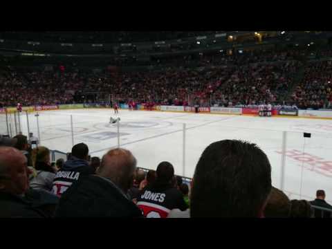 Kölner Haie Sharky Dance