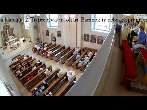 JKS 299 - Zdrav´ buď (ein Lied über Eucharistie)