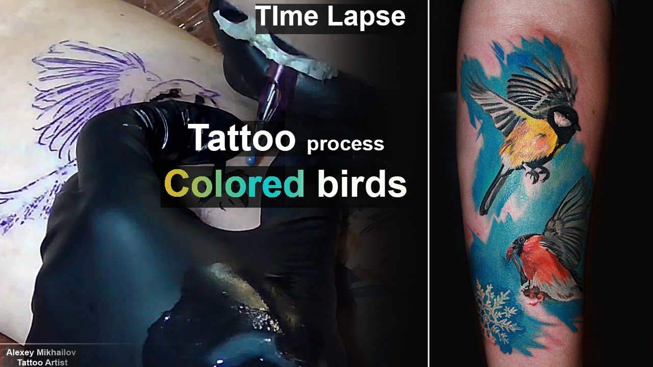 Tattoo time lapse - Realistic colored Birds