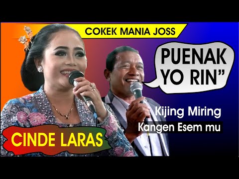 Cinde Laras Rini & Tomo terbaru 2020 Cokek Sragen tayub Gechul Kijing Miring ESEMMU