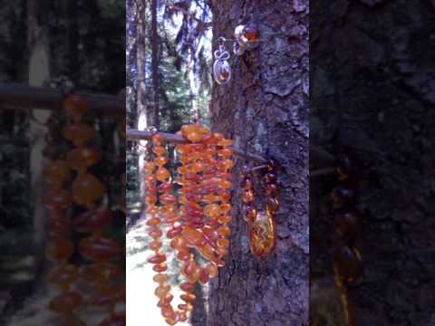 Bernstein III: Wie unterscheidet man Echten von Fälschungen?