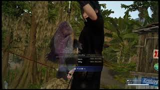 （マートンの実況動画/FF15編）ヴェスペル湖の大物と対決！