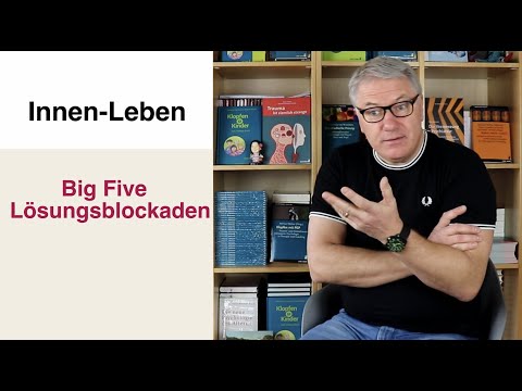 Big Five Lösungsblockaden mit Dr. Michael Bohne