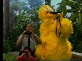 Sesame Street Scenes From 3236