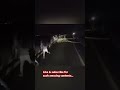 Truck Driver Narrowly Escapes Roadblock Set By Car Jackers In India Youtubeshorts Youtube Shorts